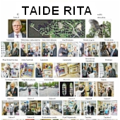 Taide Riita