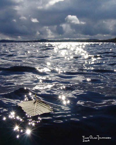 In the hands of the Tsunami - Timo-Olavi Jalkanen
